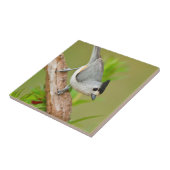 Kuifmees Tegeltje (Zijkant)