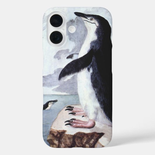 Kuifpinguïn, Oude vogels uit Antarctica Case-Mate iPhone Case (Achterkant)