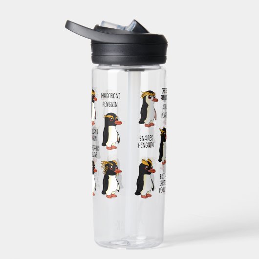Kuifpinguïns - alle soorten met tekst waterfles (Rechts)