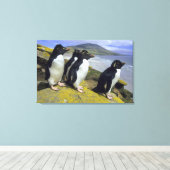 Kuifpinguïns, (Eudyptes chrysocome), Canvas Afdruk (Insitu (Houten vloer))