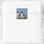 Kuifpinguïns Eudyptes chrysocome Vierkante Sticker (Tas)
