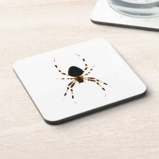 Kuifspider Bier Onderzetter (Linkerzijde)