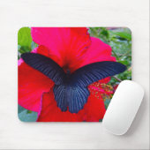 Kuifzweet - Butterfly Mousepad Muismat (Met muis)