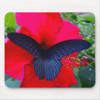 Kuifzweet - Butterfly Mousepad Muismat