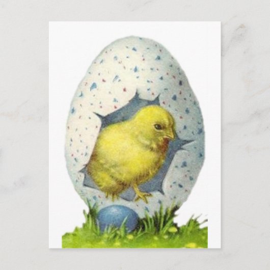  kuiken en paasei feestdagenkaart (Voorkant)