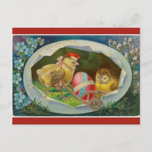  kuiken met paasei briefkaart (Voorkant)