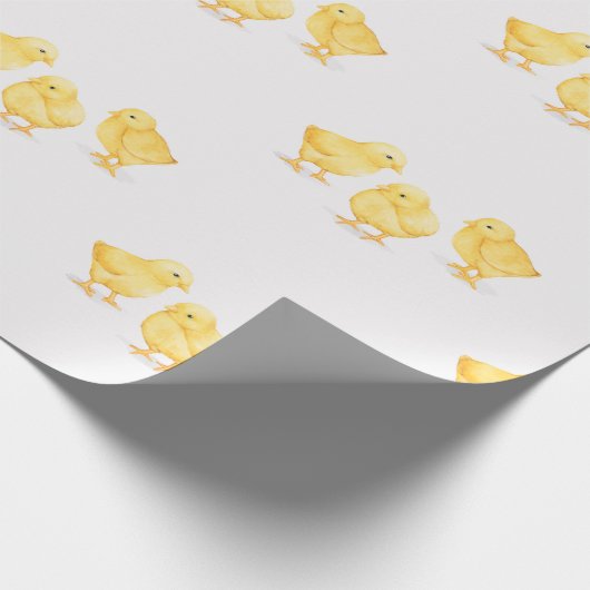 KUIKENPAPIER CADEAUPAPIER (Hoek)