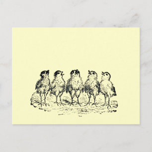 kuikens briefkaart