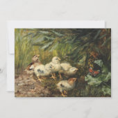 Kuikens en een vlinder | Franz Xaver Birkinger (Voorkant)