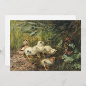 Kuikens en een vlinder | Franz Xaver Birkinger (Voorkant / Achterkant)