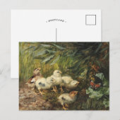 Kuikens en een vlinder | Franz Xaver Birkinger Briefkaart (Voorkant / Achterkant)