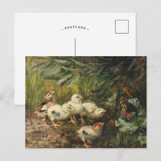 Kuikens en een vlinder | Franz Xaver Birkinger Briefkaart (Voorkant / Achterkant)