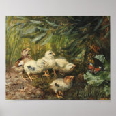 Kuikens en een vlinder | Franz Xaver Birkinger Poster (Voorkant)