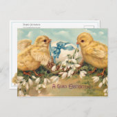  kuikens en paaseieren briefkaart (Voorkant / Achterkant)
