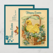 Kuikens in een mandje  Paas Briefkaart (Voorkant / Achterkant)