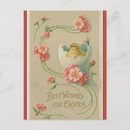 kuikens in eierroze zwenkrooster Pasen Briefkaart