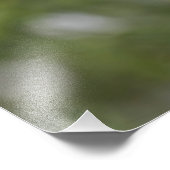 Kuikens in sneeuw op een Cedar-boom Foto Afdruk (Hoek)