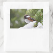 Kuikens in sneeuw op een Cedar-boom Rechthoekige Sticker (Tas)