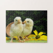 kuikens legpuzzel (Horizontaal)