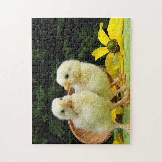 kuikens legpuzzel (Verticaal)