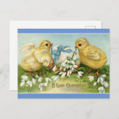  kuikens met eierBriefkaart Feestdagenkaart (Voorkant / Achterkant)