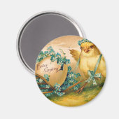 kuikens met paaseieren magneet (Voorkant / Achterkant)