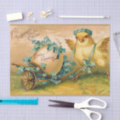 kuikens met paaseieren tissuepapier (Craft)