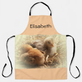 kuikens met veren werpkuilen schort (Voorkant)