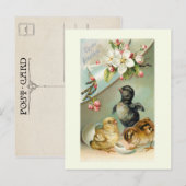 kuikens, paaseieren en wilde Rozen Briefkaart (Voorkant / Achterkant)