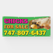 Kuikens te koop Aangepaste Bewerkbare Banner (Horizontaal)