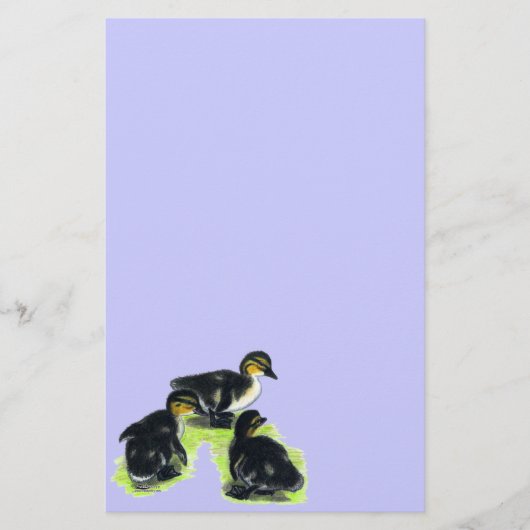 Kuikens van de Wilde Eend Briefpapier (Voorkant)
