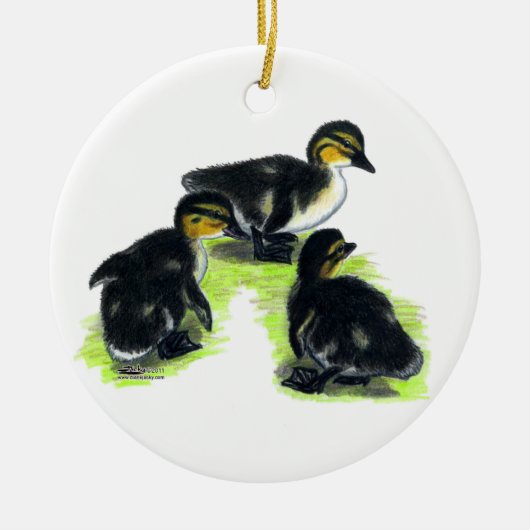 Kuikens van de Wilde Eend Keramisch Ornament (Voorkant)