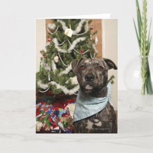 Kuilstier het stellen voor een portret van feestdagen kaart