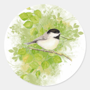 Kuin-vogelpest in populaire boom ronde sticker