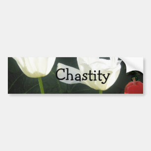 Kuishheid Bumpersticker