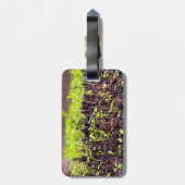 Kuitgras Bagagelabel (Achterkant verticaal)