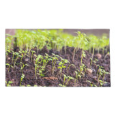 Kuitgras Kussensloop (Achterkant)