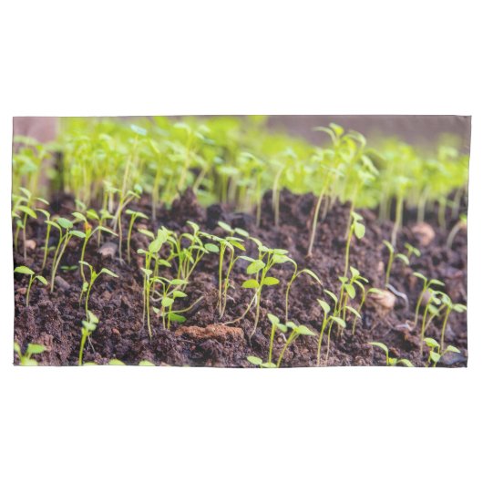 Kuitgras Kussensloop (Voorkant)