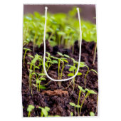 Kuitgras Medium Cadeauzakje (Achterkant)