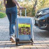 Kuitgras Sticker (Koffer Insitu)