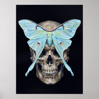 kull en Luna Moth — Memento Mori Impasto Poster