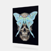 kull en Luna Moth — Memento Mori Impasto Poster (Hoek)