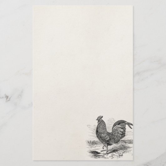  Kulm Fowl Rooster Chicken - Chickens Hen Briefpapier (Voorkant)