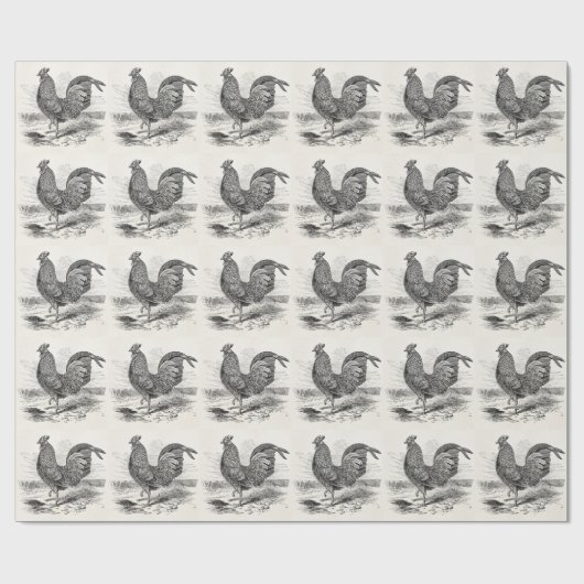  Kulm Fowl Rooster Chicken - Chickens Hen Cadeaupapier (Vlak)