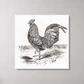  Kulm Fowl Rooster Chicken - Chickens Hen Canvas Afdruk (Voorkant)