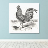 Kulm Fowl Rooster Chicken - Chickens Hen Canvas Afdruk (Insitu (Houten vloer))