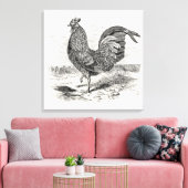 Kulm Fowl Rooster Chicken - Chickens Hen Canvas Afdruk (Insitu (Woonkamer))
