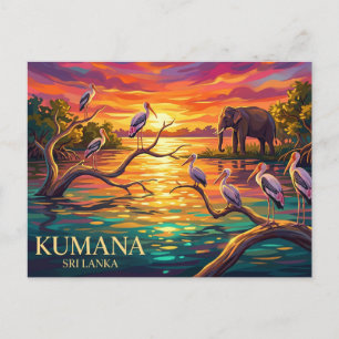 Kumana National Park Sri Lanka Briefkaart