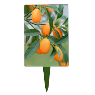 Kumquat groeit op boomkussen cake topper