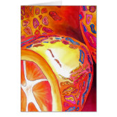 Kumquats sinaasappel citrus waterverf vruchtenkuns (Voorkant)